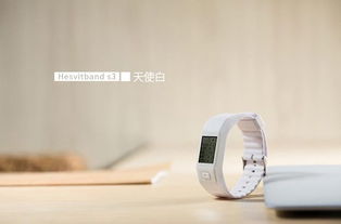 簡述智能手環(huán)哪個品牌好